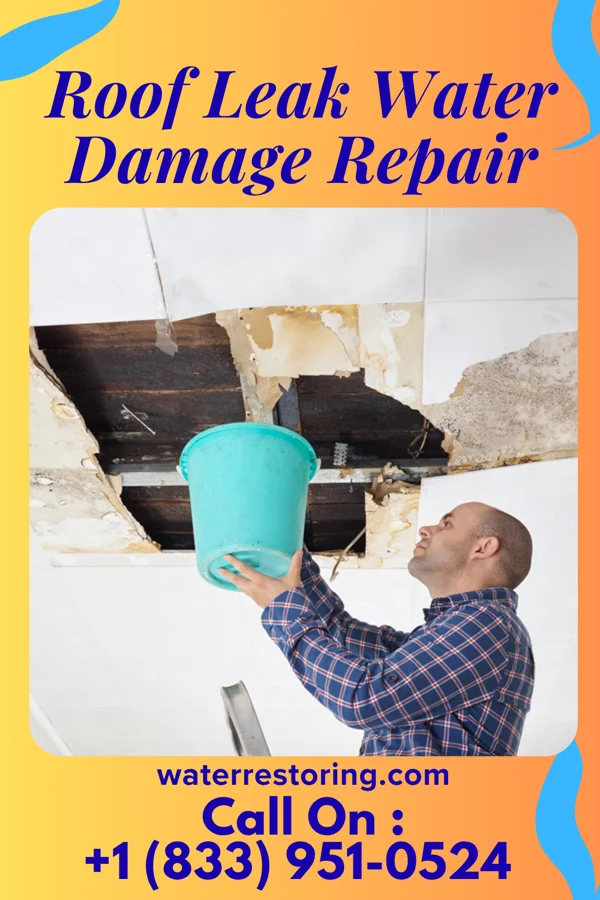 Roof Leak Water Damage Repair in Batavia, IA