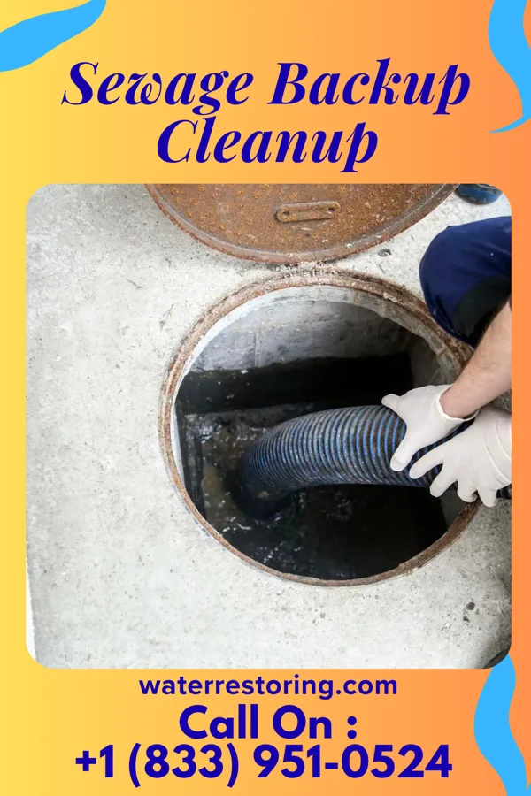 Sewage Backup Cleanup in Batavia, IA