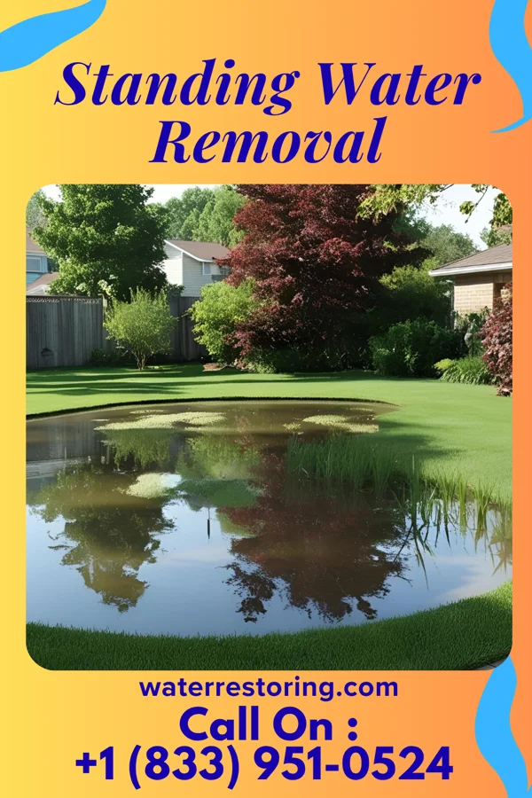 Standing Water Removal in Batavia, IA